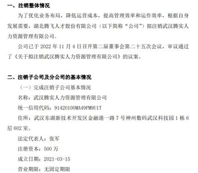 騰飛人才擬注銷武漢騰實人力資源管理
