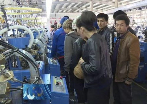 為何中介介紹的工作都是進廠 工廠從不參與招人,原因被曝光